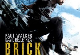 Brick Mansions 2014 BluRay 1080p 720p & 480p | Dual Audio [Hindi – English] DD5.1 x264 Full Movie