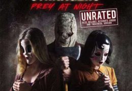 The Strangers 2: Prey at Night (2018) Dual Audio [Hindi Dubbed & English] BRRip 1080p 720p & 480p [HD]