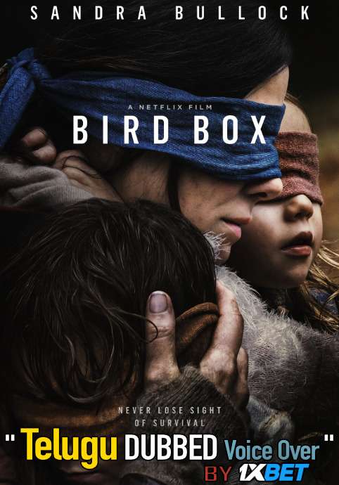 Bird Box (2018) Telugu Dubbed (Dual Audio) 1080p 720p 480p BluRay-Rip English HEVC Watch Bird Box 2018 Full Movie Online On 1xcinema.com