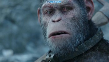 War.For.The.Planet.Of.The.Apes.2017.720p.BRRip.Bengali.Dub.x264-1XBET.0004.th.jpg